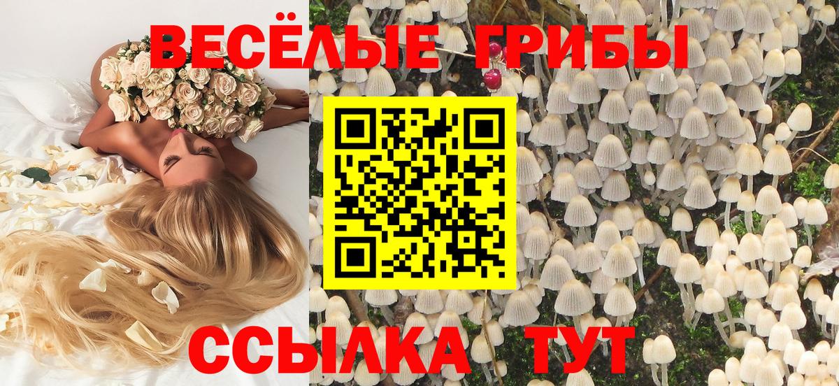 Псилоцибиновые грибы Psilocybine cubensis Ковров